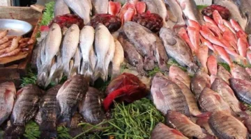 تقلبات في أسعار السمك بالأسواق المصرية خلال تعاملات مساء اليوم الإثنين